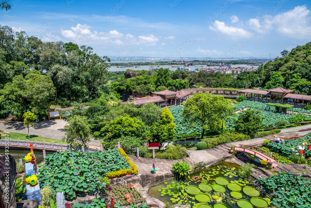 中国广州番禺莲花山公园荷花池