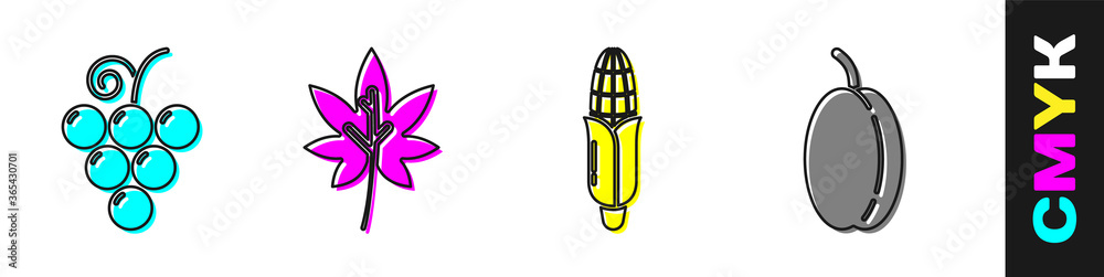 Set Grape fruit, Leaf or leaves, Corn and Plum fruit icon. Vector.