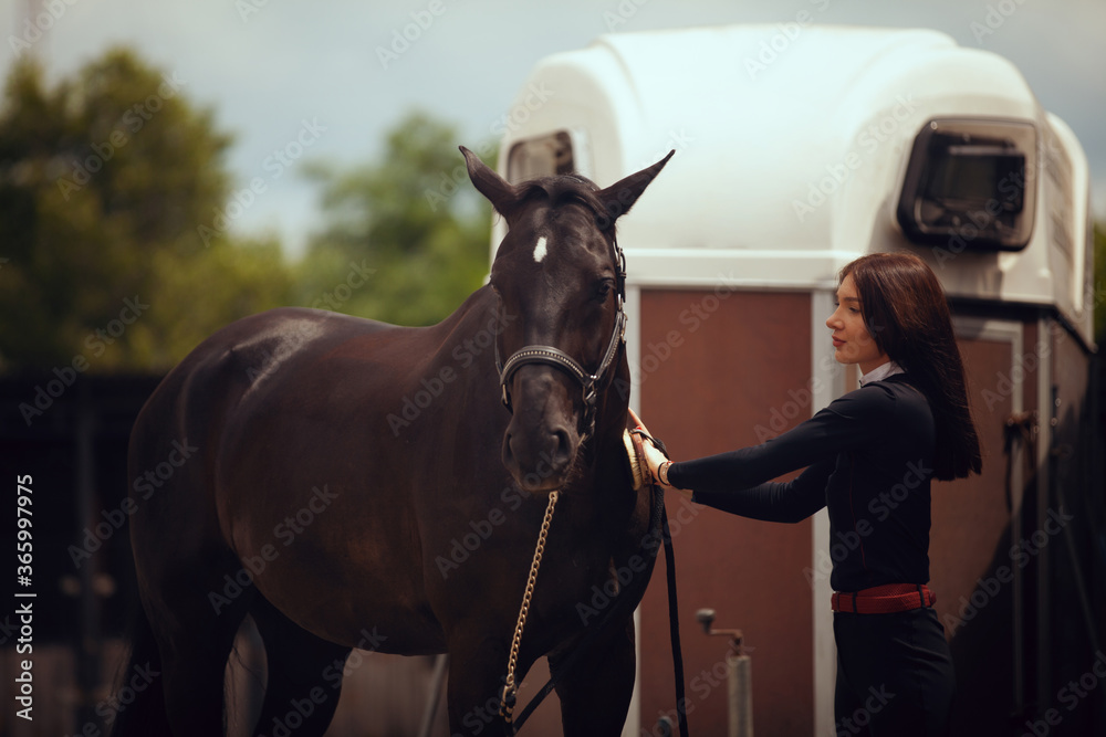 Equestrian sport - young girl rides on horse.