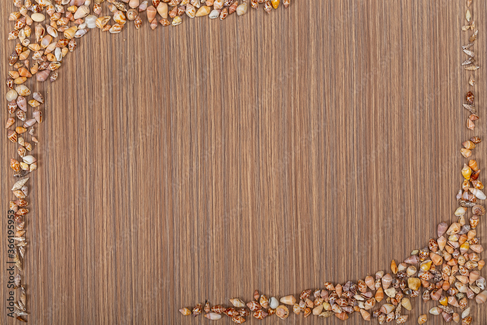 Seashells on  beige brown wooden surface. Copy space. Space for text.  Striped  background.