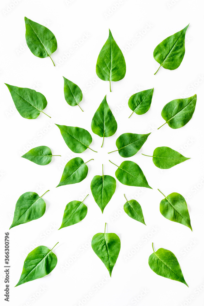 Above view of lauout of green leaves - nature background.