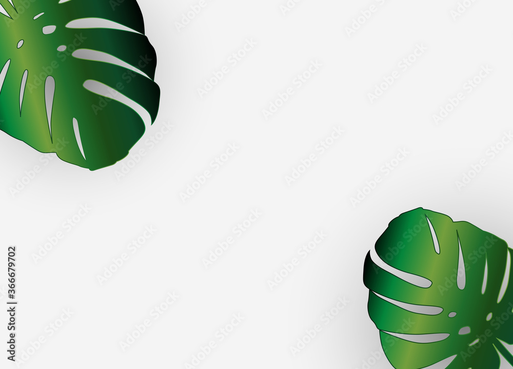 Monstera Palm留下时尚的背景。矢量插图