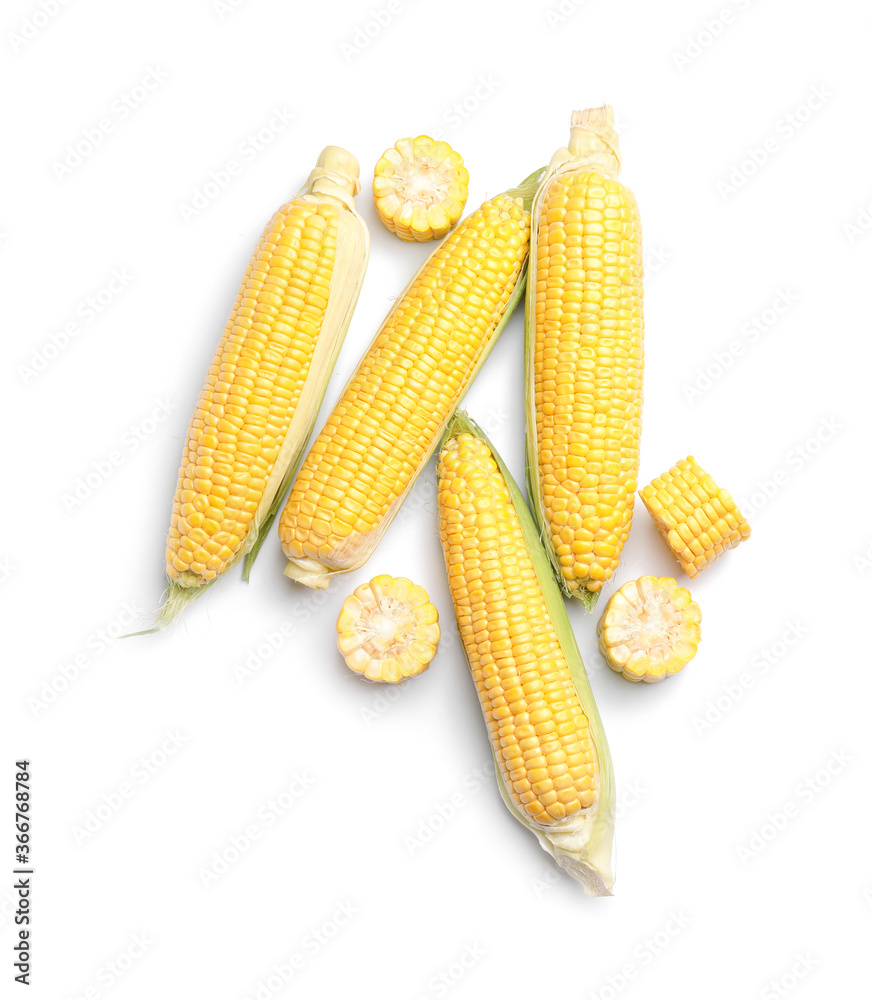 Fresh corn cobs on white background