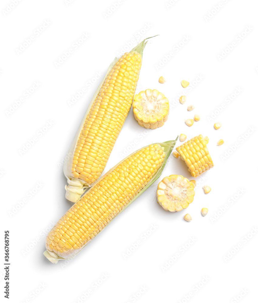 Fresh corn cobs on white background