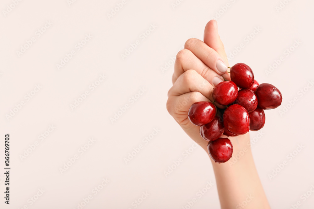 Female hand with sweet cherry on light background