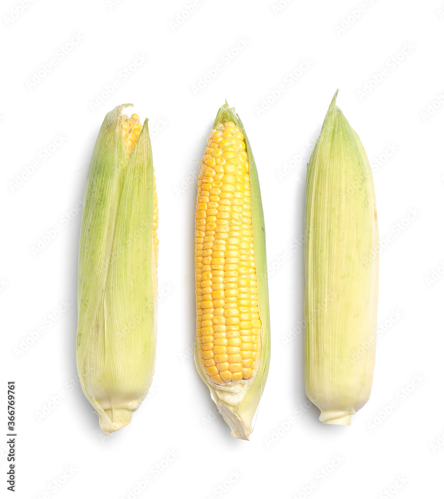 Fresh corn cobs on white background