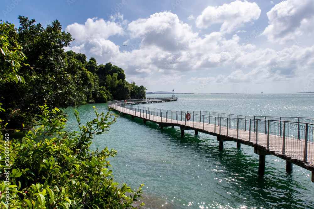 Chek Jawa Broadwalk码头，位于乌宾岛红树林湿地的木质平台，俯瞰大海