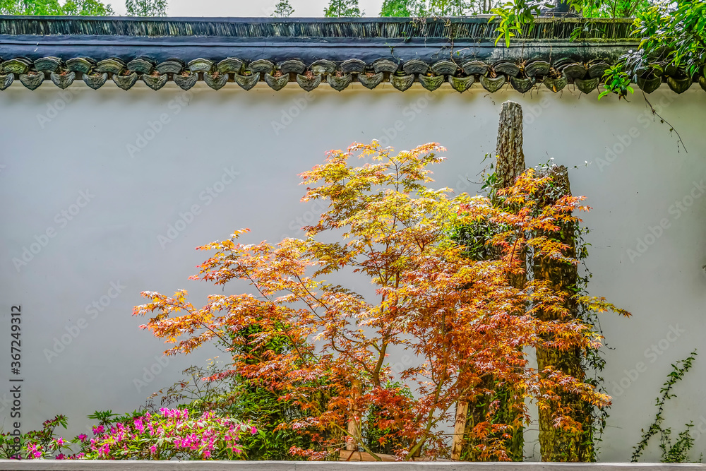 青瓦白墙假山植物