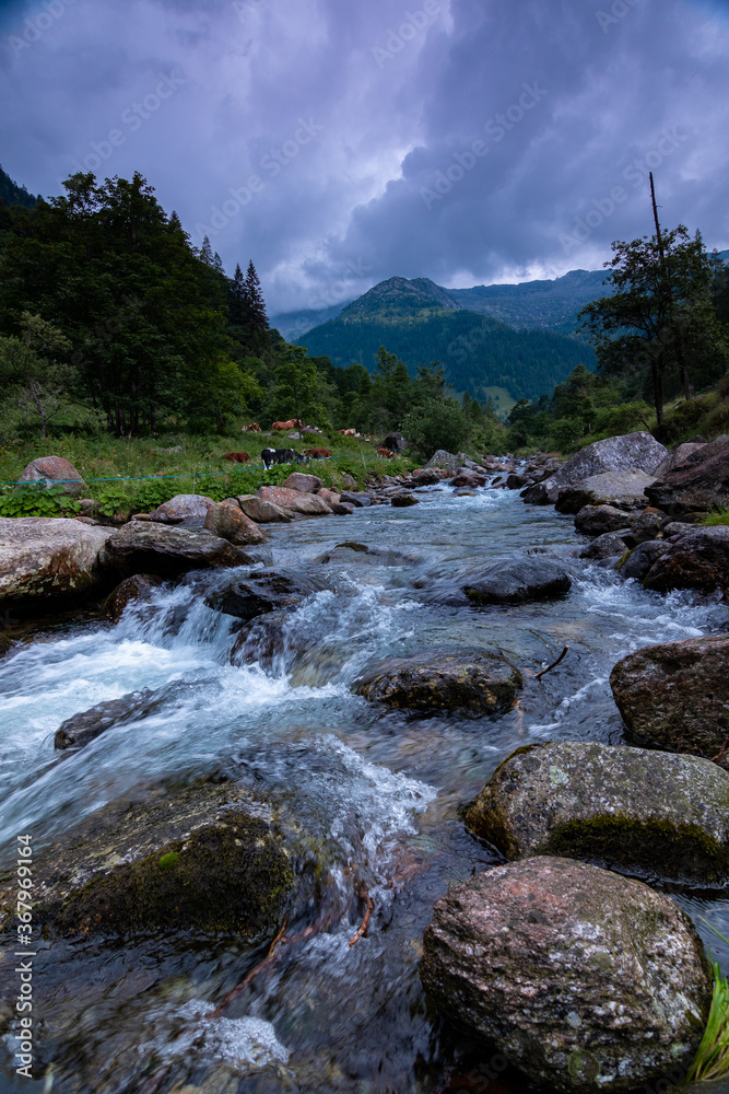 山中河流