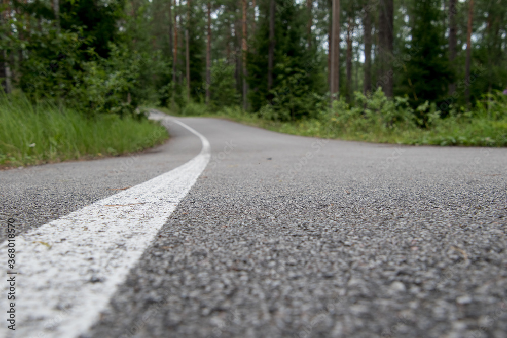 公园道路上的白线，焦点狭窄。