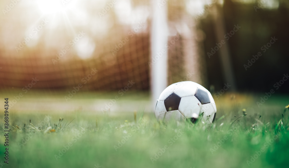 Black and whithe ball lying on green grass