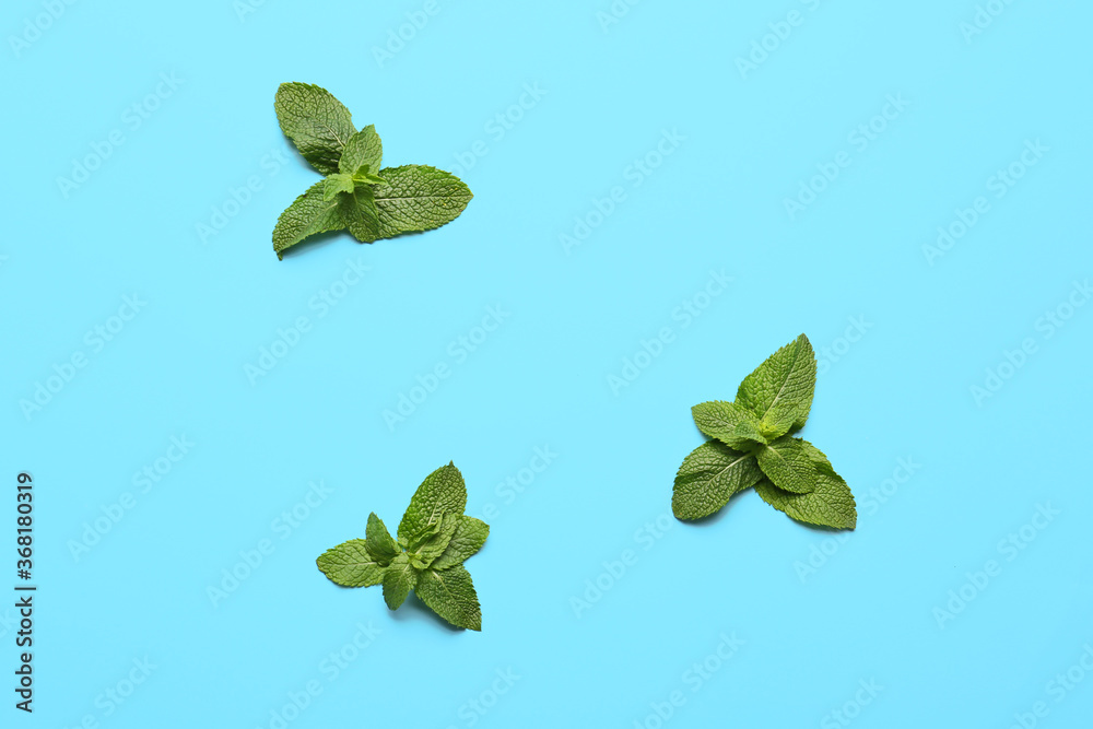 Fresh green mint on color background