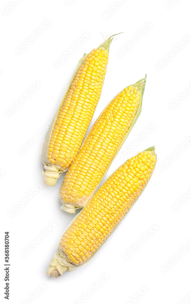 Fresh corn cobs on white background