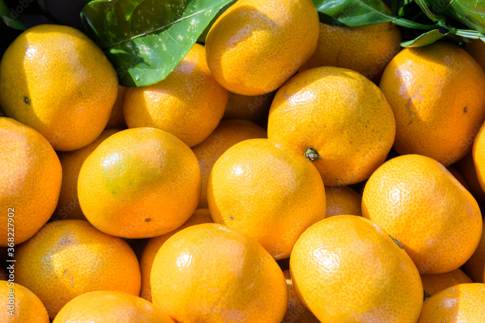 winter fruit tangerines rich in vitamin C