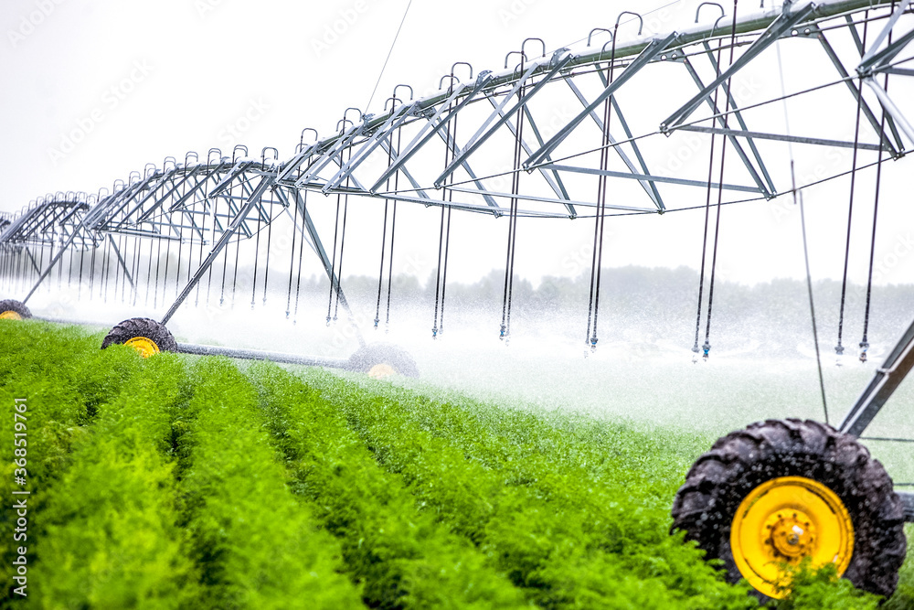 agriculture irrigation machine on green field