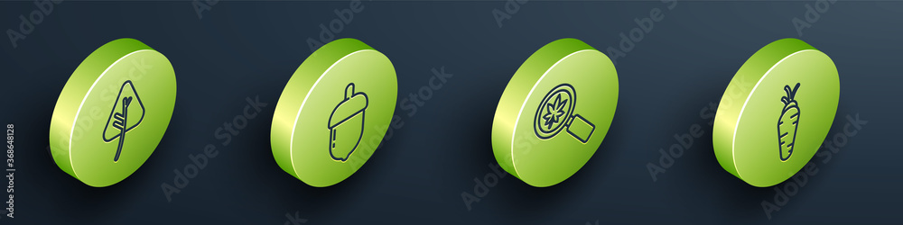 Set Isometric Leaf or leaves, Acorn, Magnifying glass with leaf and Carrot icon. Vector.