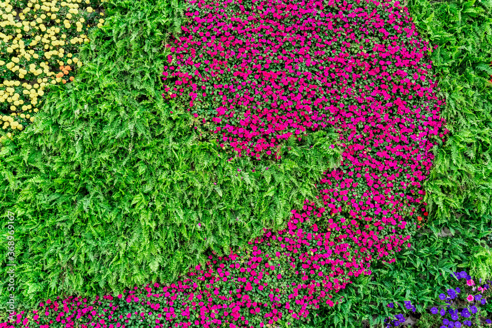 Background material of flowers and plants wall..