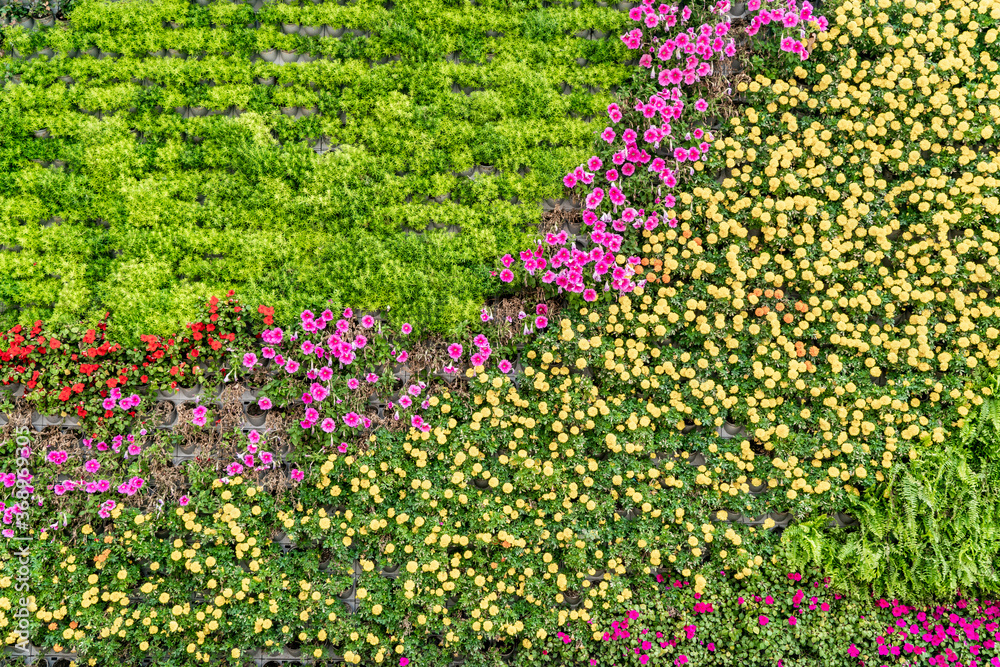 Background material of flowers and plants wall..