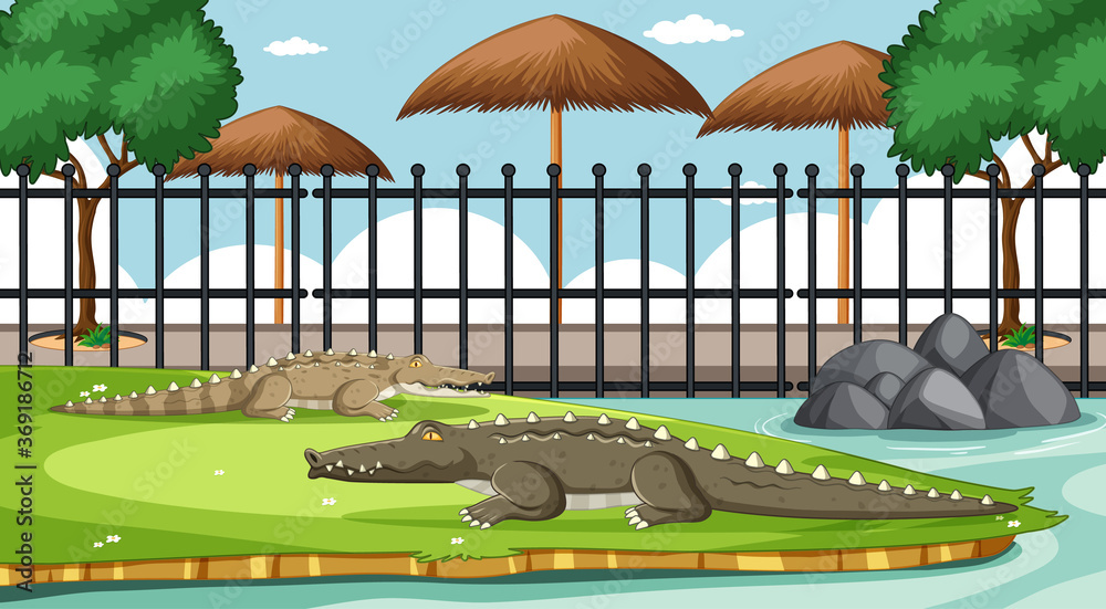 Alligator in the zoo scene