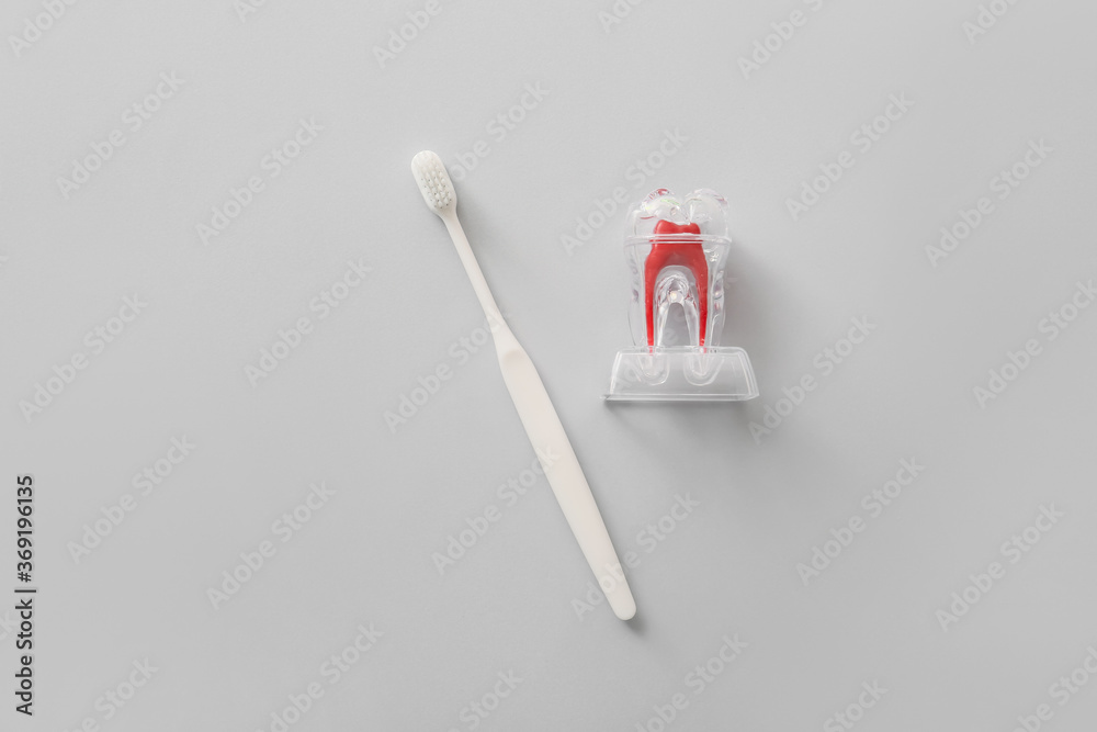 Tooth brush and plastic tooth model on grey background