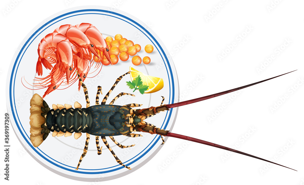 盘子里的食物鸟瞰图