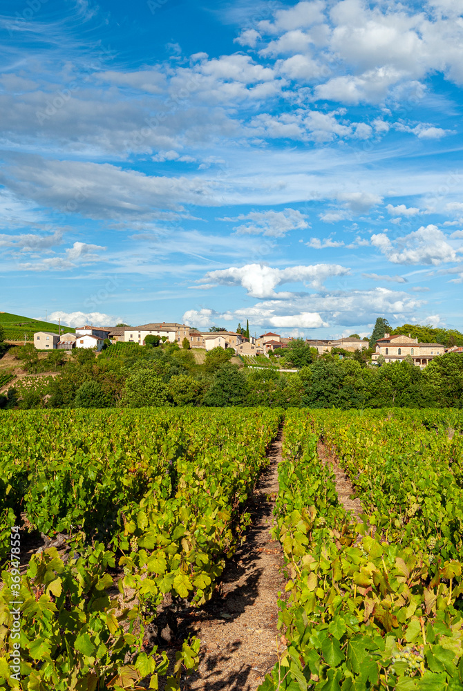 Le village de Morgon dans le vignoble du Beaujolais dans le département du Rhône en France