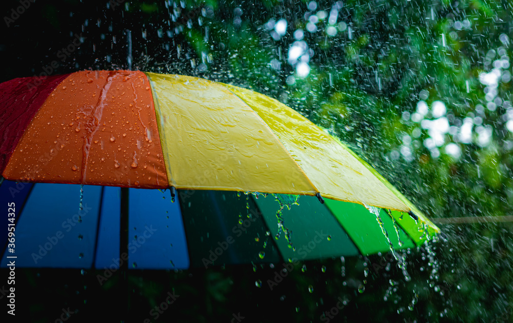 以自然为背景的白天，雨滴落在彩虹伞上