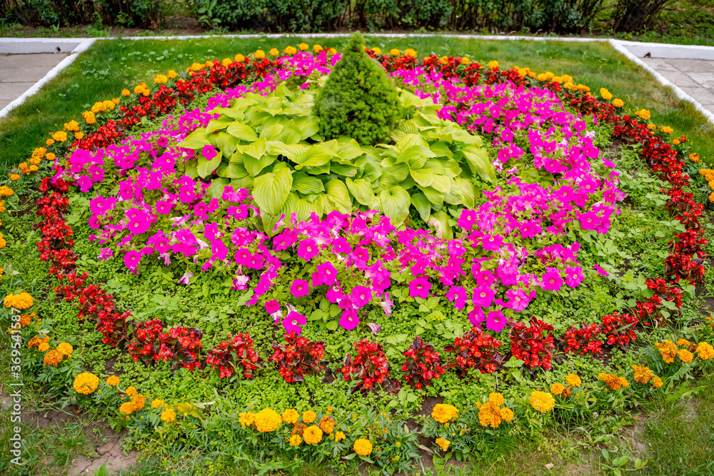 花园里五颜六色的花。裁剪的照片。夏天的风景。粉红色、黄色、白色的花和花丝