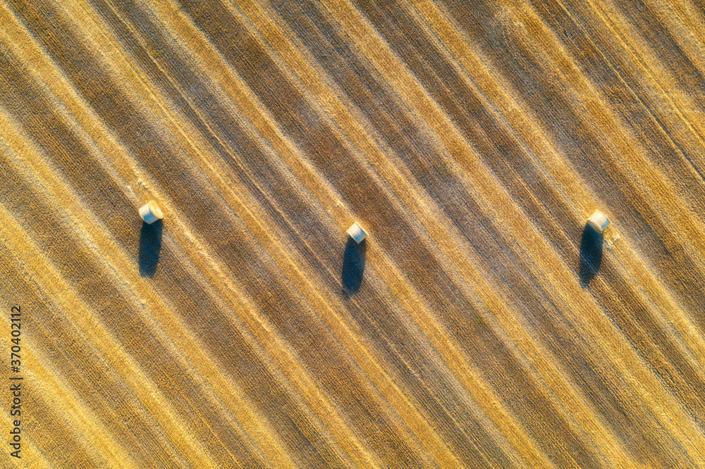 Aerial view of hay bales at sunset in summer. Top view of hay stacks. Agriculture. Field after harve