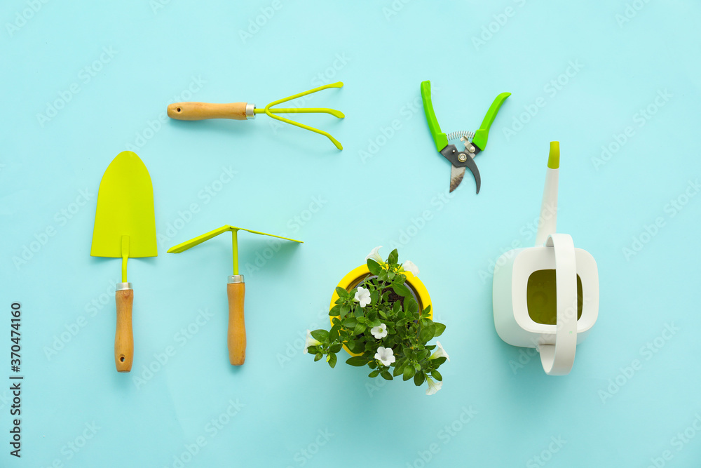 Gardening tools on color background