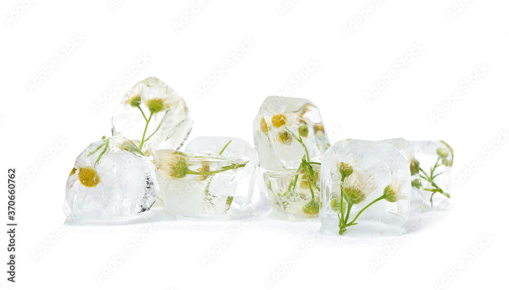 Frozen flowers in ice on white background