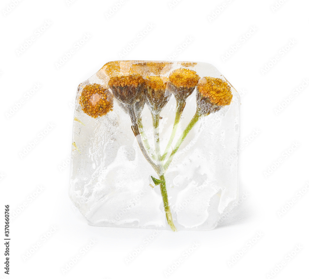 Frozen flowers in ice on white background