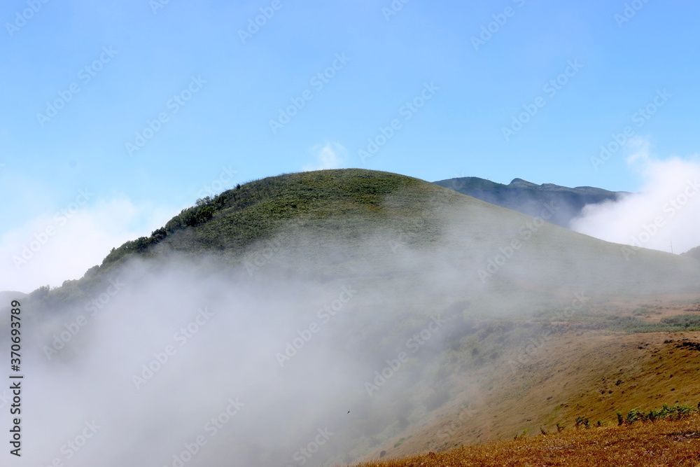 Mountain, Hill, Vereda do Fanal, Madeira