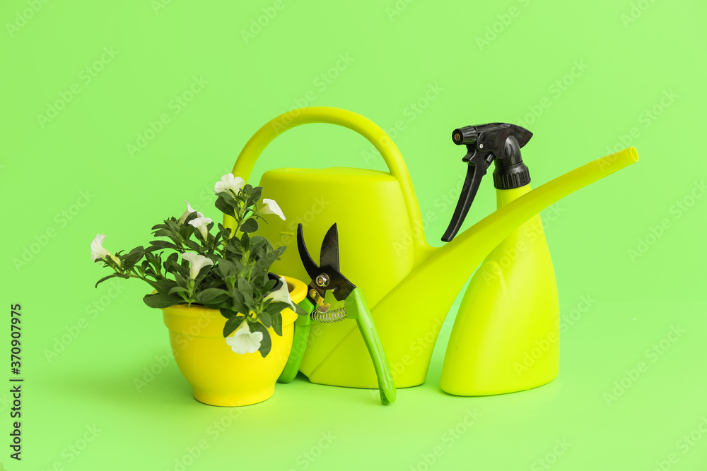 Gardening tools on color background