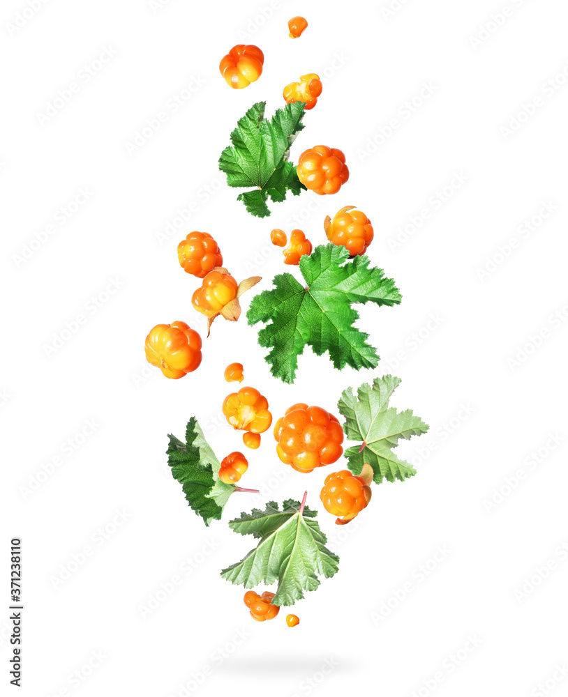 Ripe сloudberry in the air with leaves, isolated on a white background