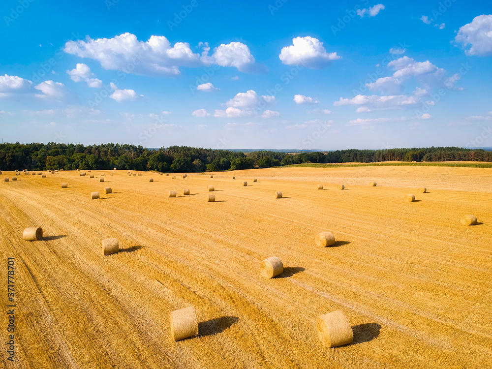 Niesamowity krajobraz z belami siana na polu po zbiorach w Polsce