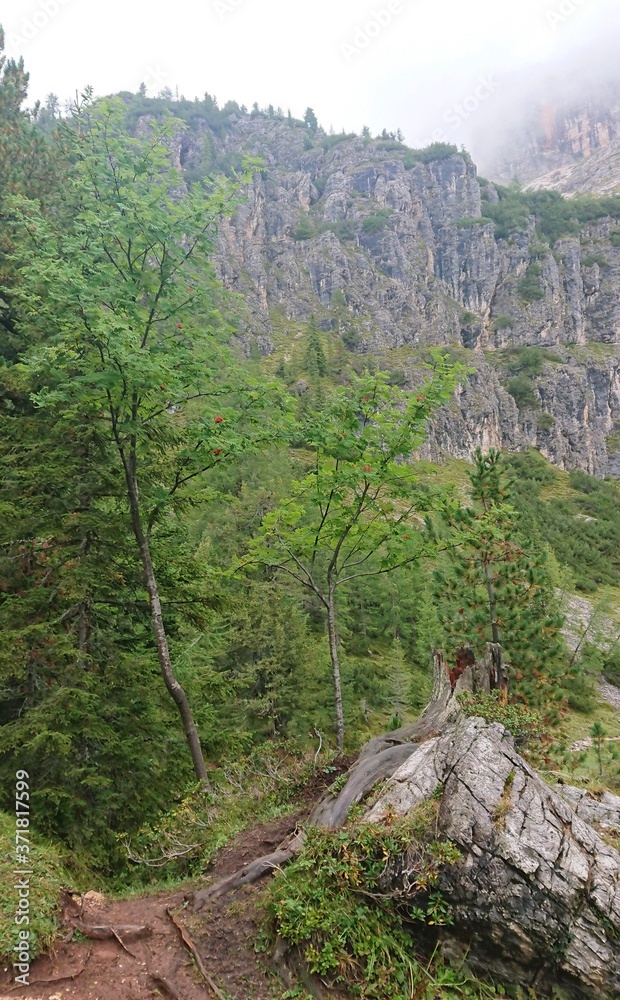 意大利北部多洛米蒂阿尔卑斯山景观。背景是雾