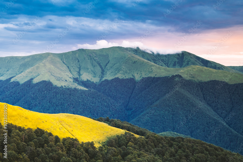 喀尔巴阡山脉风景如画的夏季景观。芬特的绿色山丘、森林和黄色草地