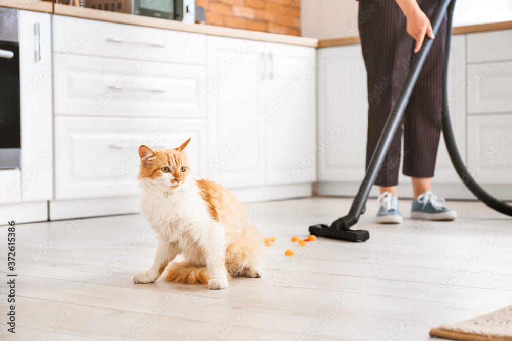 Owner hoovering floor in kitchen after naughty cat