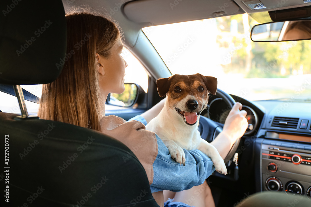 Woman with cute dog traveling by car