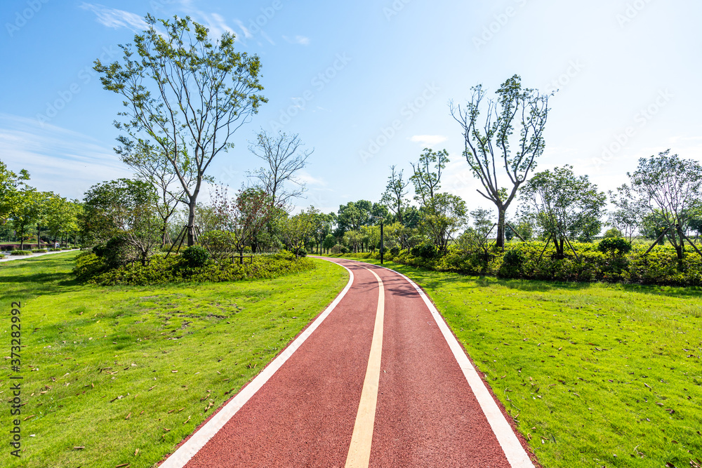 公园道路