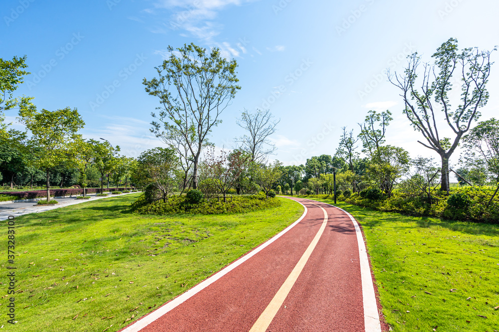 road in park