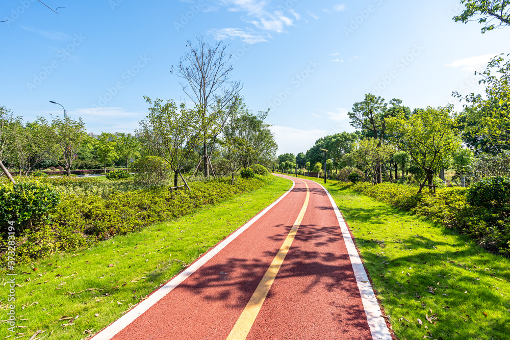 公园道路