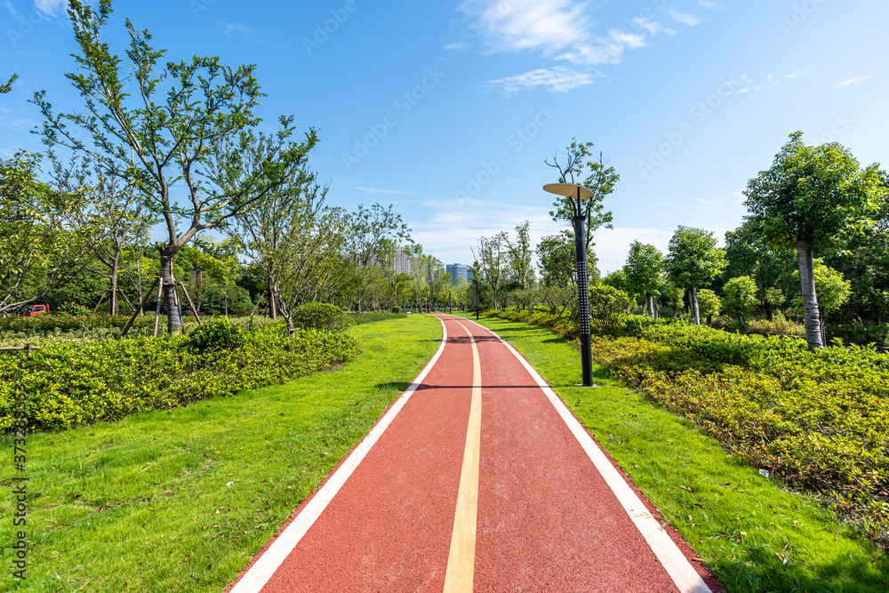 公园道路