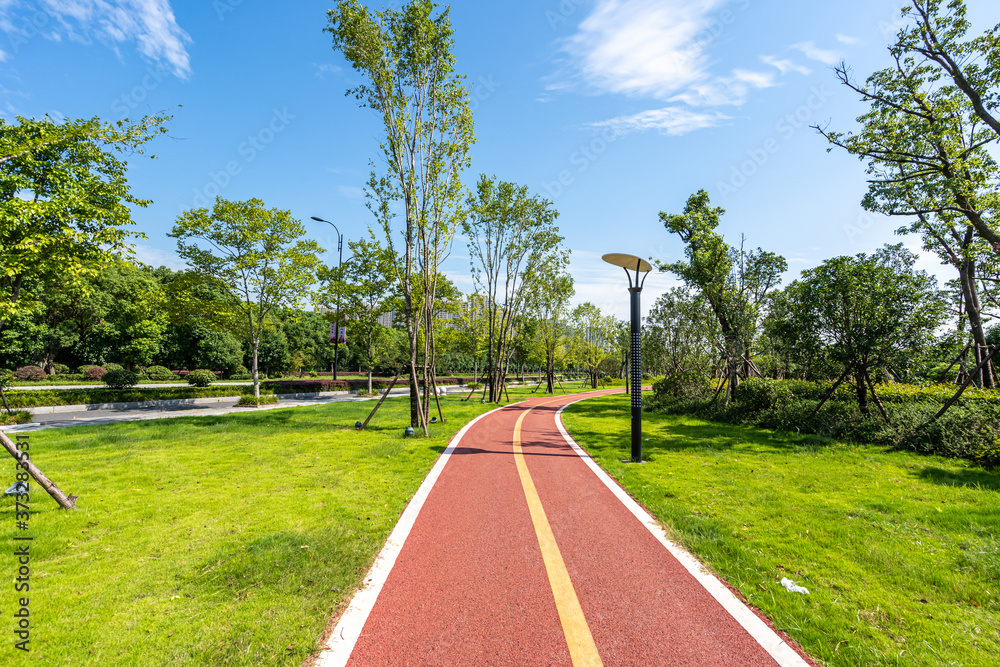 road in city park