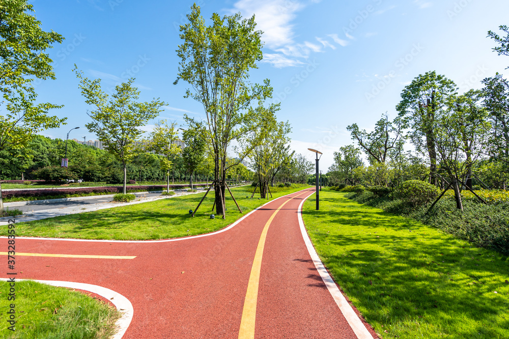 公园道路