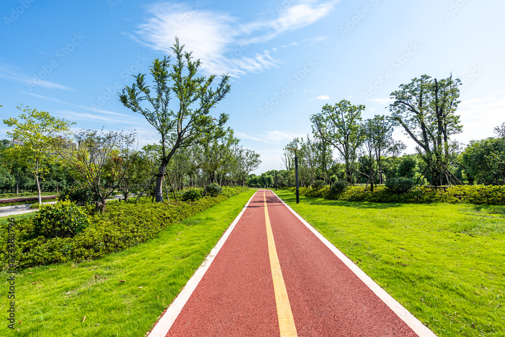 road in park