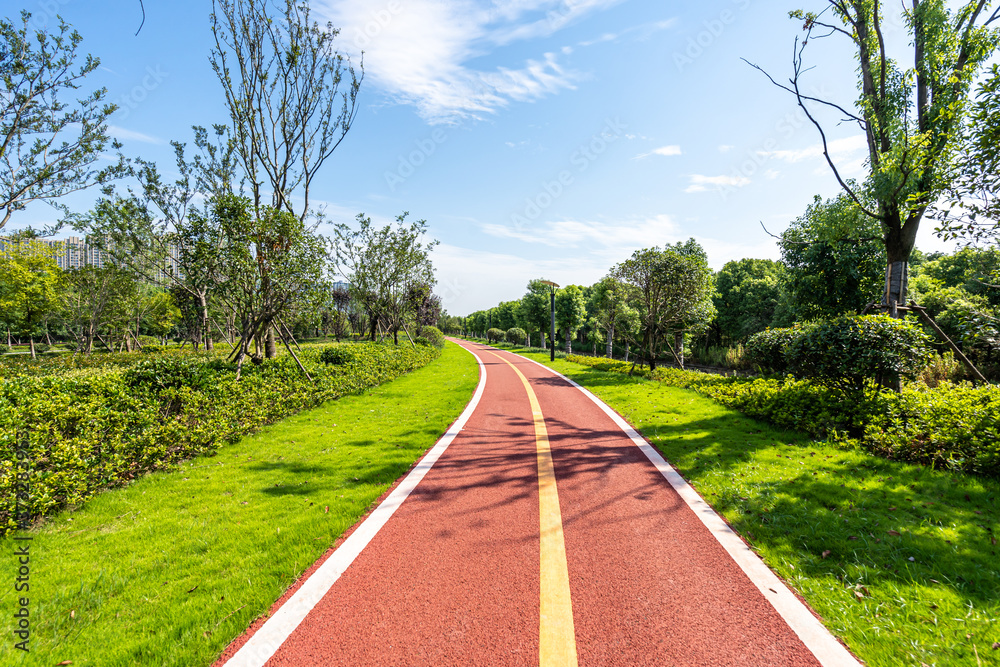 road in park