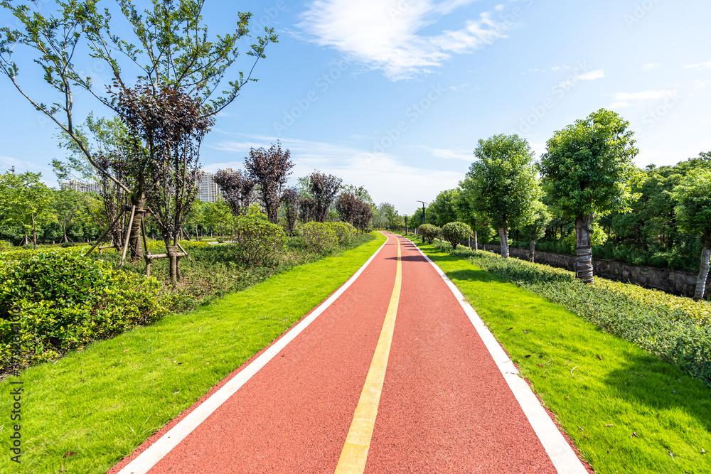 公园道路