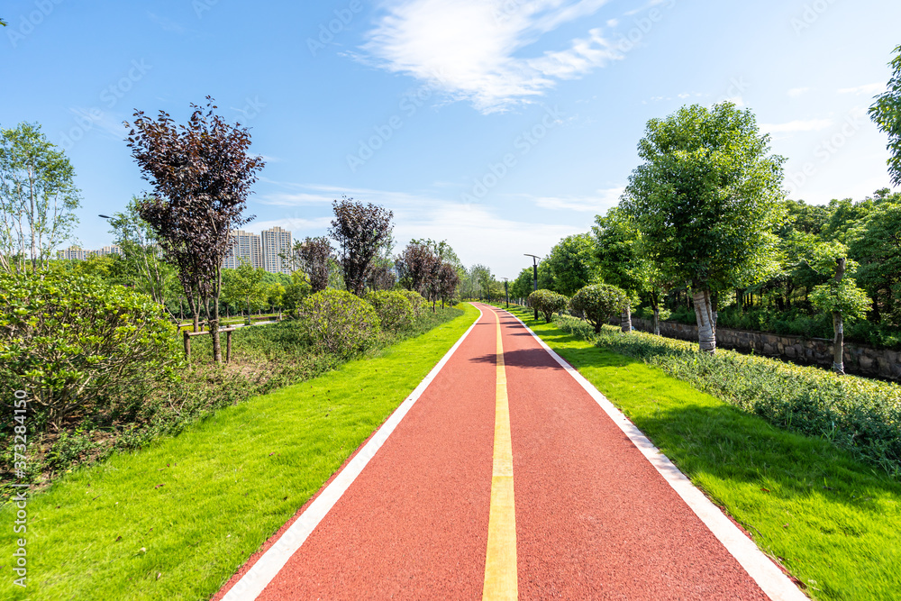 road in park